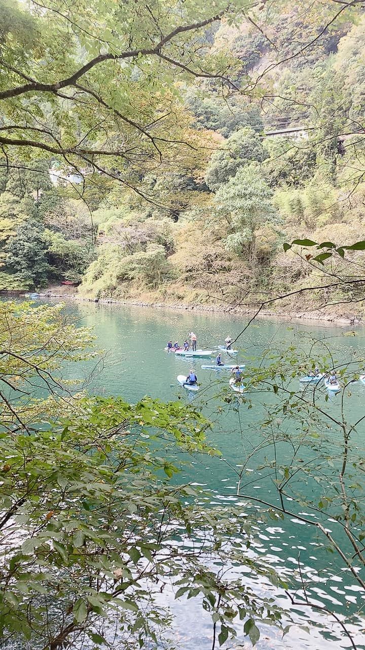 314401578_1991789717678062_8..