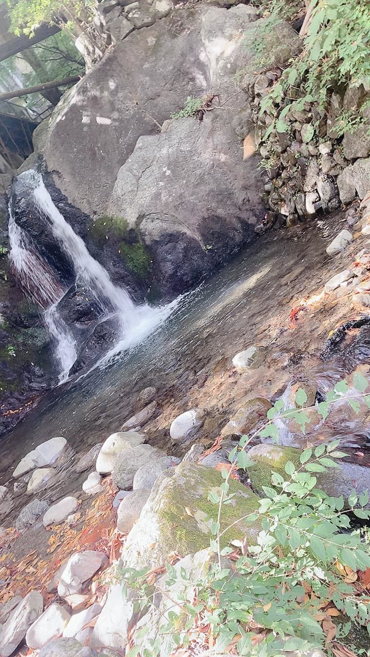 314471015_1991789261011441_5..