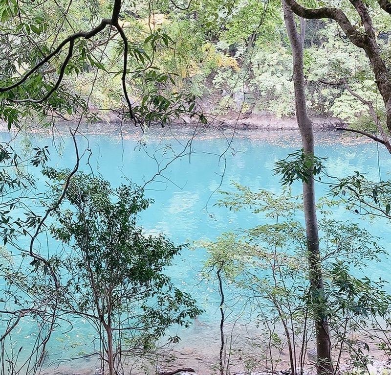 314341953_1991789524344748_1..