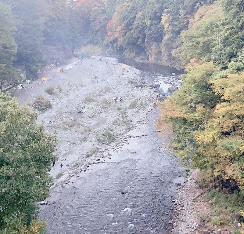 313980605_1991789421011425_6..